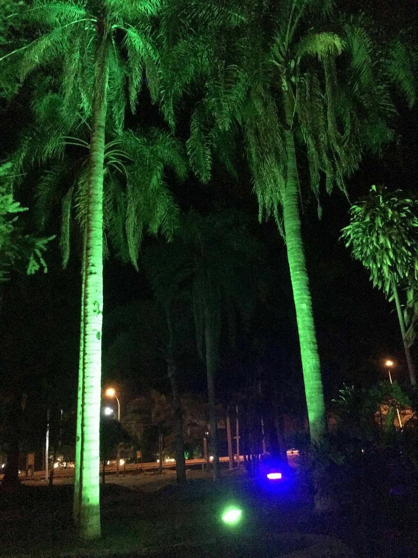 Tangoinn Club Iguazu Party Luxury Hostel Puerto Iguazú Zewnętrze zdjęcie